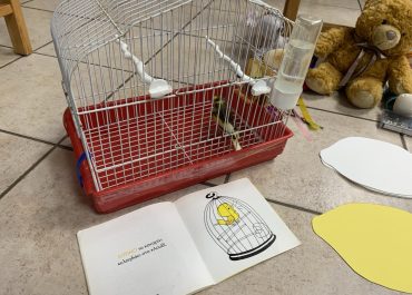 Υιοθετήσαμε ένα καναρίνι