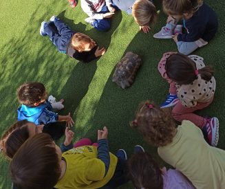 IMG_20211104_114139_Β_Παιδικός