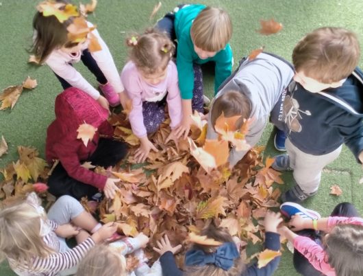 Β_IMG20211110094732