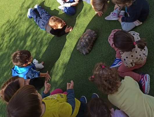 Β_IMG_20211104_114139