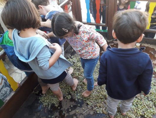 Β_ΕΠΙΣΚΕΨΕΙΣ- ΔΡΑΣΤΗΡΙΟΤΗΤΕΣ