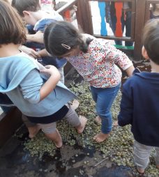 Β_παιδικός_18